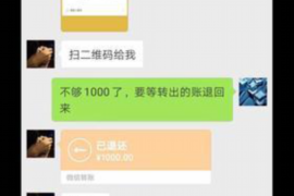 破产清算追讨债务:全面解析与应对之道 破产清算追讨债务:全面解析与应对之道