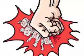 阳光钱袋会暴力催收吗？深入了解网络借贷背后的风险与真相