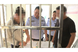 追讨债务的保险公司：专业手段解决债务纠纷