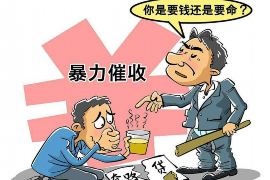 蜀山清债公司哪家好？揭秘行业佼佼者