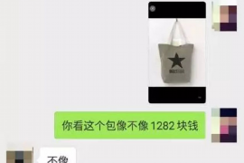 警察与催收电话：职责、合作与法律的交织