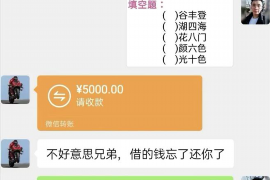 北京天纵是催收吗？揭秘金融服务平台背后的真相